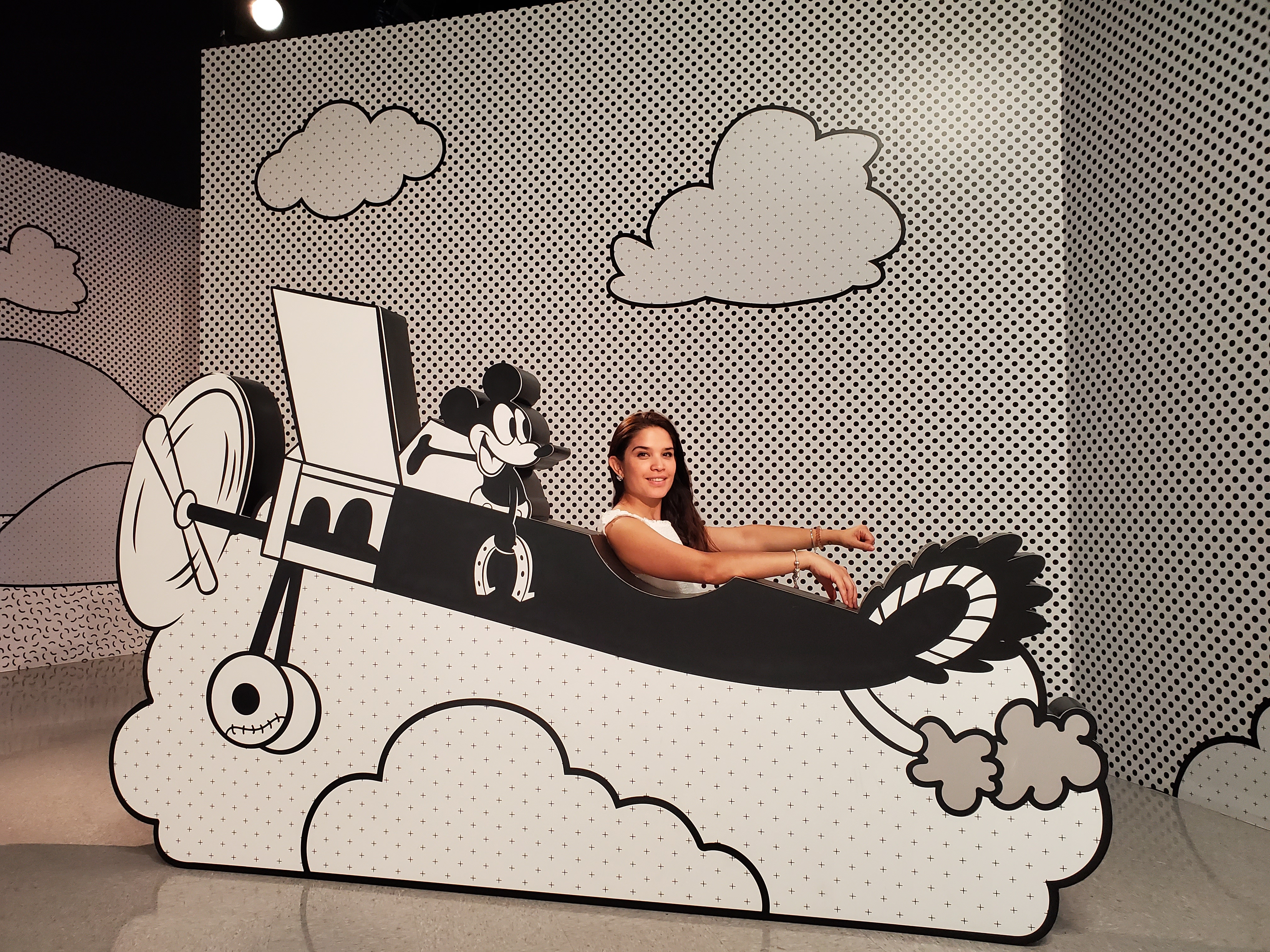 Disney, Universal & Cruise